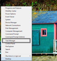 Menu with "Task Manager" circled